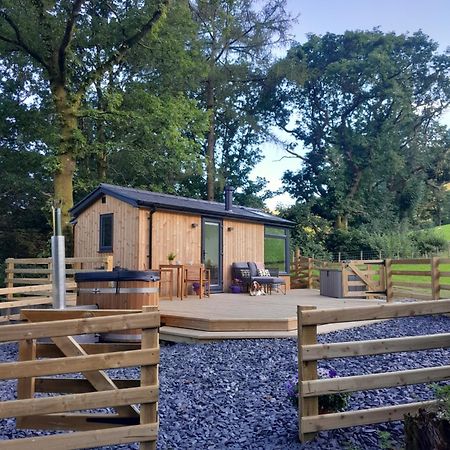 Вилла Ty Nant Gwenyn Llanymawddwy Экстерьер фото